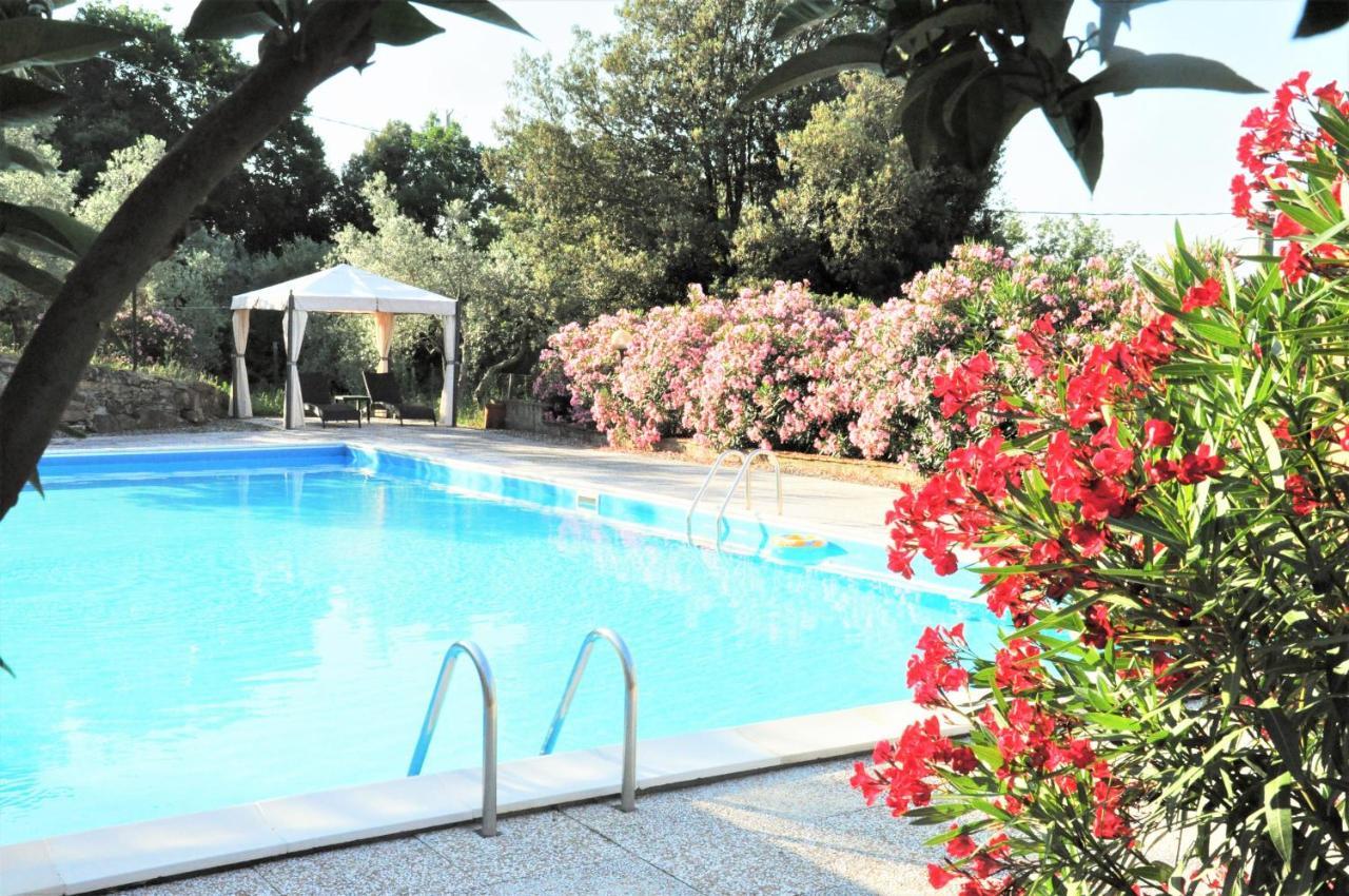 Agriturismo Pereti Roccatederighi Exteriör bild