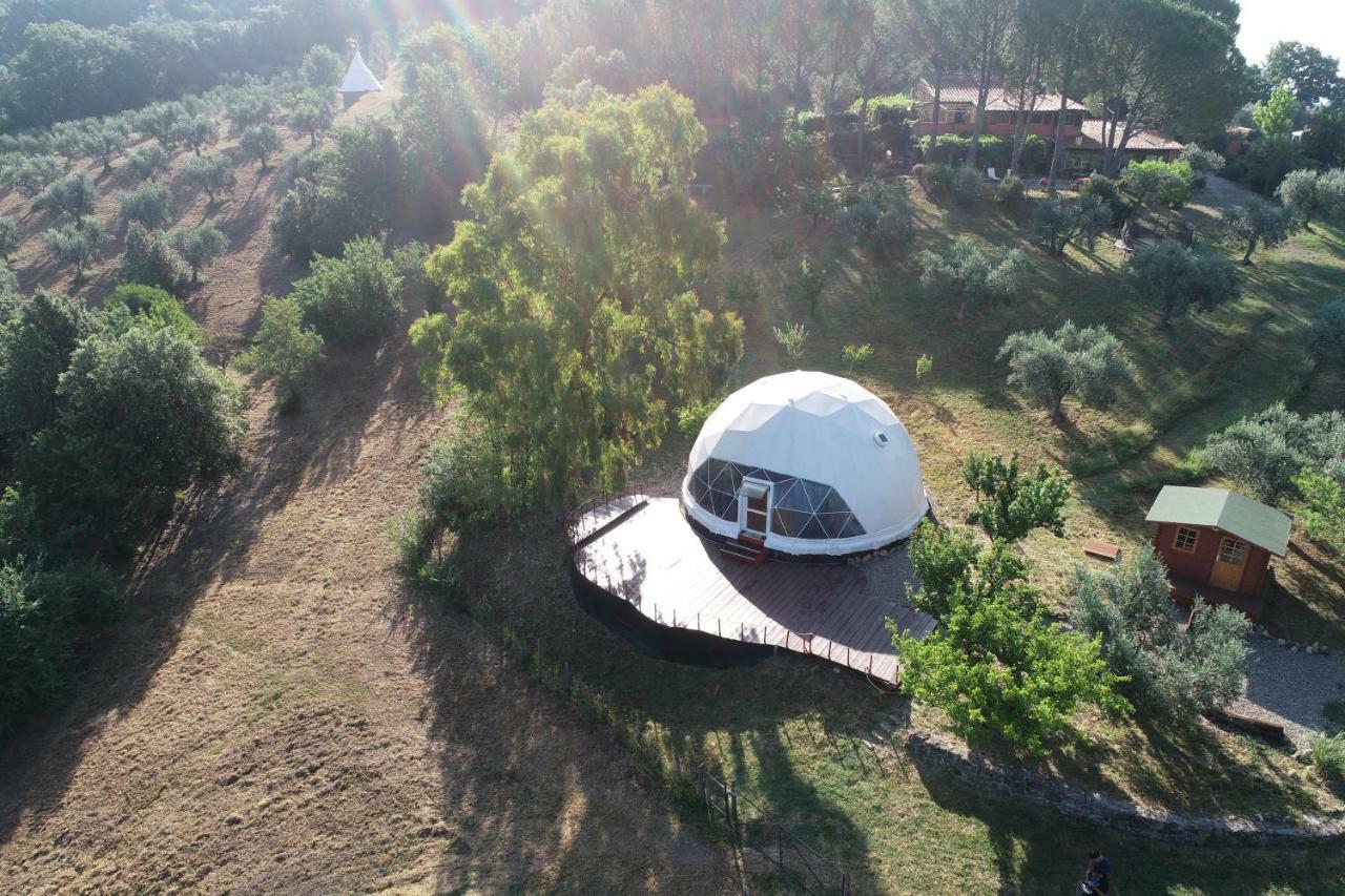 Agriturismo Pereti Roccatederighi Exteriör bild